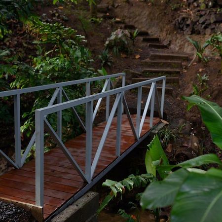 Volcano Gold Loft La Fortuna Luaran gambar