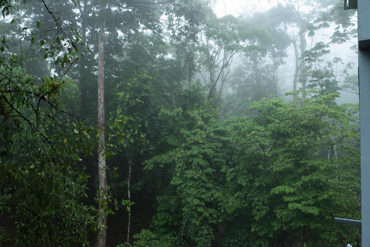 Volcano Gold Loft La Fortuna Luaran gambar