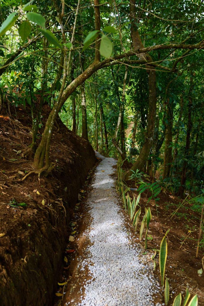 Volcano Gold Loft La Fortuna Luaran gambar