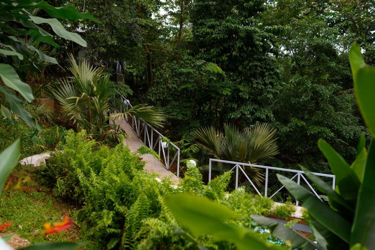 Volcano Gold Loft La Fortuna Luaran gambar