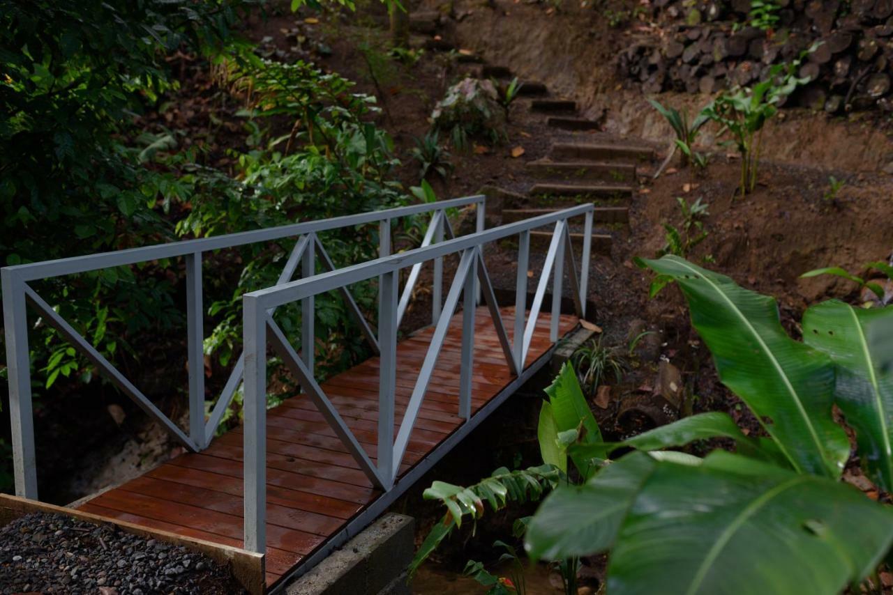 Volcano Gold Loft La Fortuna Luaran gambar
