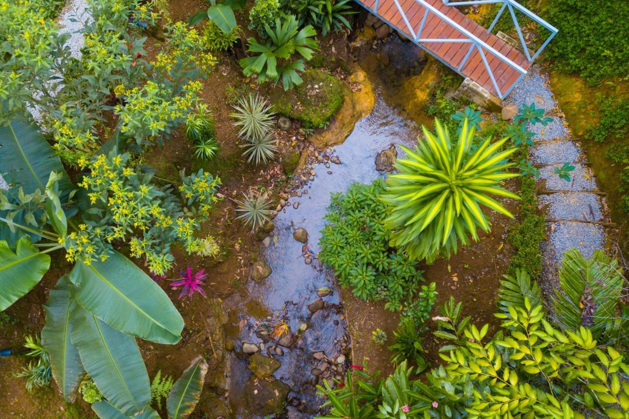 Volcano Gold Loft La Fortuna Luaran gambar
